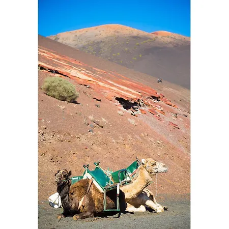 Concha بلايا بلانكا